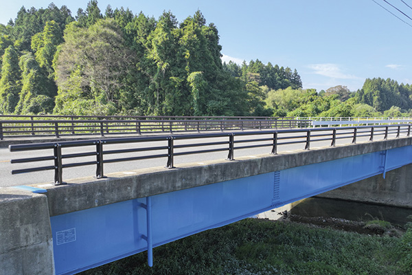 ㈱瀧田屋(花巻市) 主要地方道盛岡和賀線乱場橋橋梁補修工事